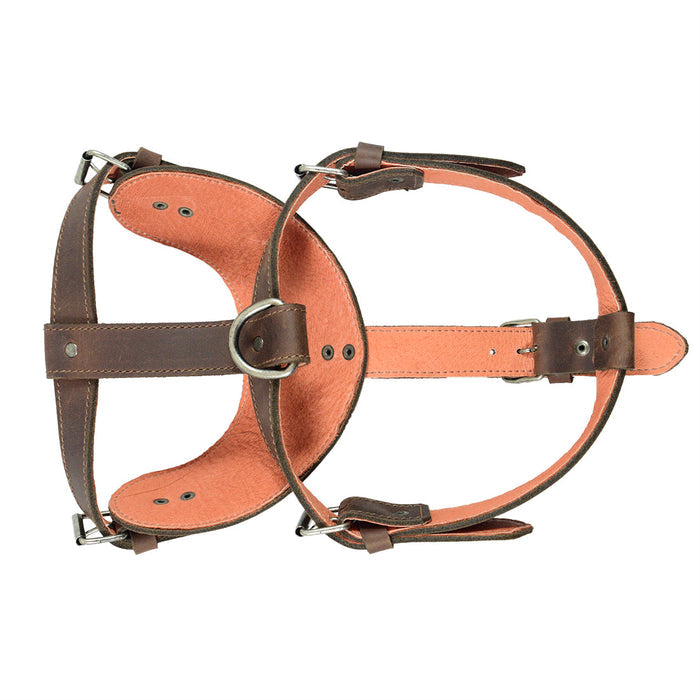 Hide & Drink Dog Harness displayed with its tags, emphasizing the quality materials and careful construction. Made from Full Grain Leather, this adjustable harness is crafted by skilled artisans, perfect for the discerning dog owner.